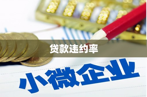 阿克陶贷款违约率