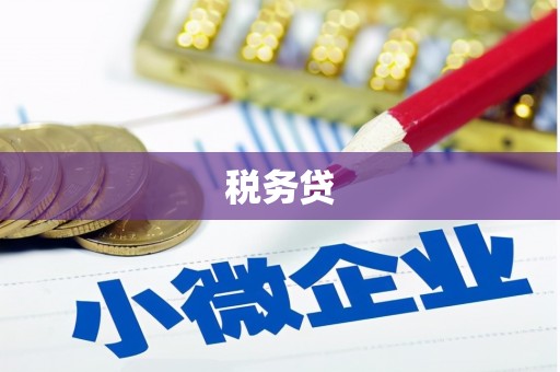 阿克陶税务贷