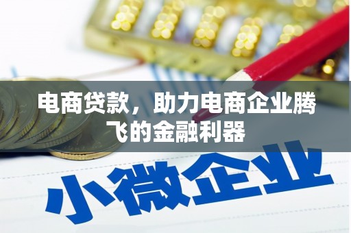阿克陶电商贷款，助力电商企业腾飞的金融利器