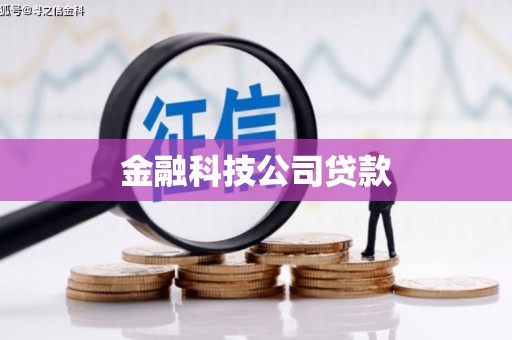 阿克陶金融科技公司贷款