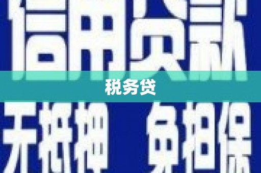 阿克陶税务贷