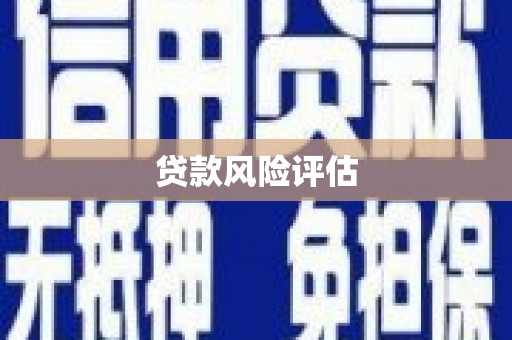 阿克陶贷款风险评估