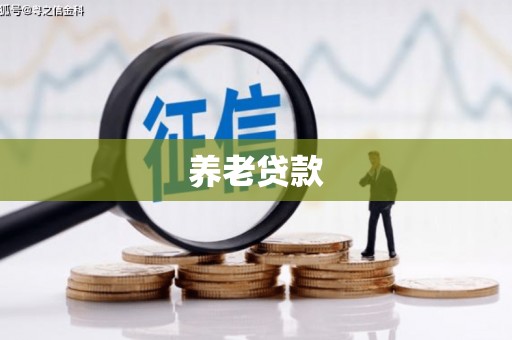 阿克陶养老贷款