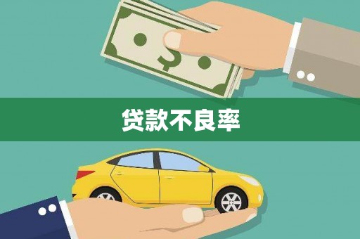 阿克陶贷款不良率