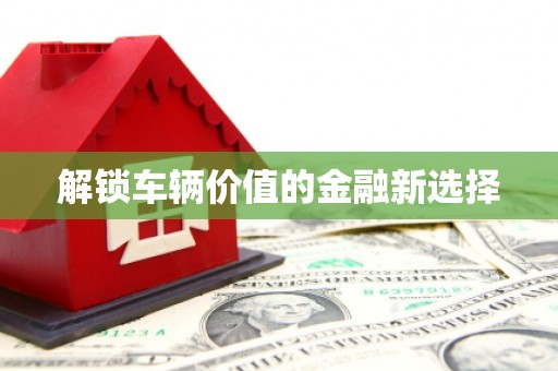 阿克陶解锁车辆价值的金融新选择