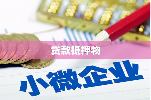 阿克陶贷款抵押物