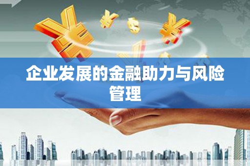 阿克陶企业发展的金融助力与风险管理