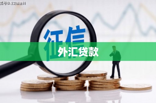 阿克陶外汇贷款
