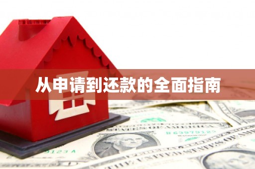 阿克陶从申请到还款的全面指南