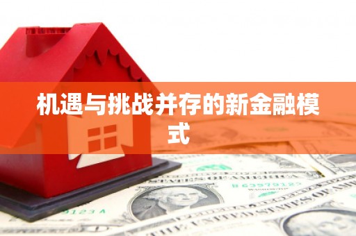 阿克陶机遇与挑战并存的新金融模式
