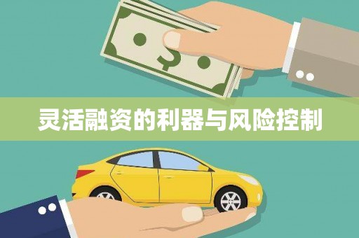 阿克陶灵活融资的利器与风险控制
