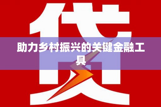 阿克陶助力乡村振兴的关键金融工具