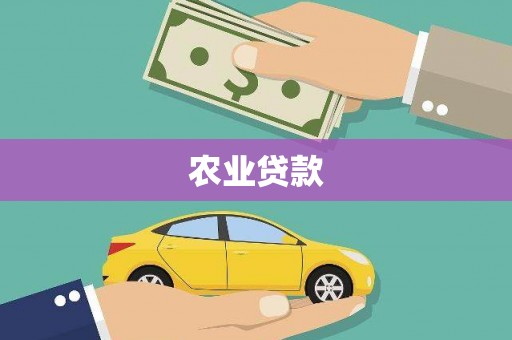 阿克陶农业贷款