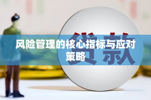 阿克陶风险管理的核心指标与应对策略