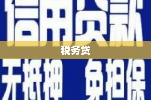 阿克陶税务贷