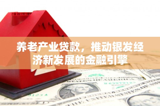 阿克陶养老产业贷款，推动银发经济新发展的金融引擎