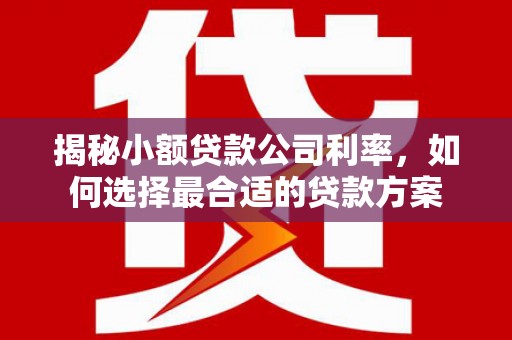 阿克陶揭秘小额贷款公司利率，如何选择最合适的贷款方案