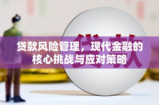 阿克陶贷款风险管理，现代金融的核心挑战与应对策略