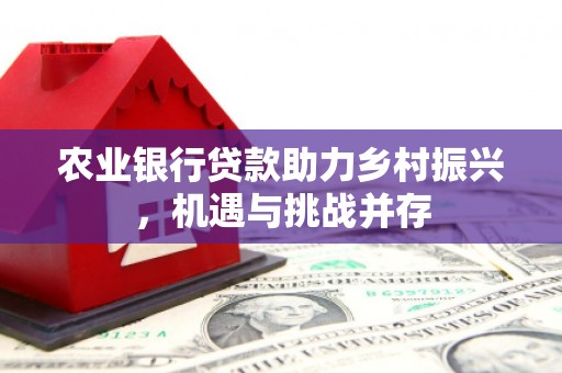 阿克陶农业银行贷款助力乡村振兴，机遇与挑战并存