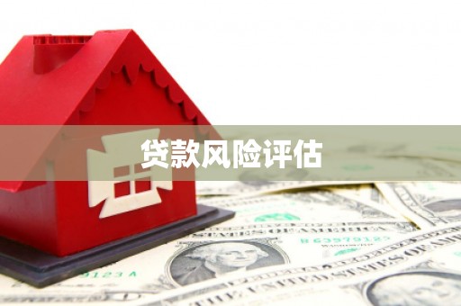 阿克陶贷款风险评估