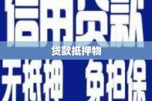 阿克陶贷款抵押物