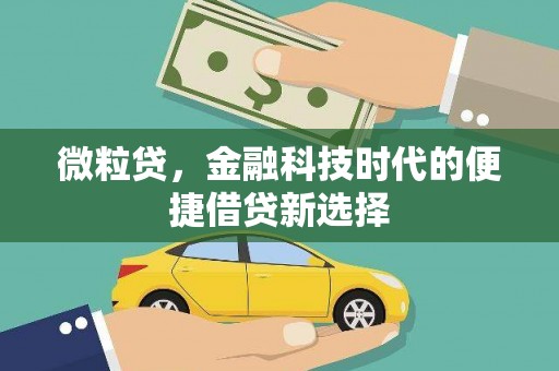阿克陶微粒贷，金融科技时代的便捷借贷新选择