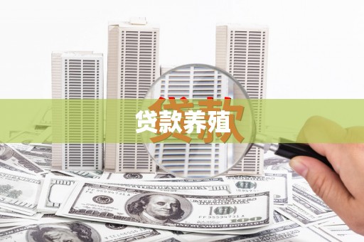 阿克陶贷款养殖