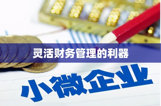 阿克陶灵活财务管理的利器