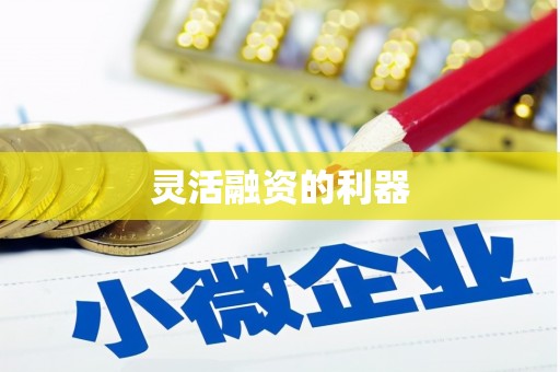 阿克陶灵活融资的利器