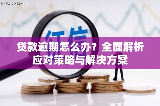 阿克陶贷款逾期怎么办？全面解析应对策略与解决方案