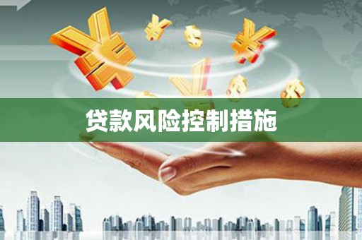 阿克陶贷款风险控制措施