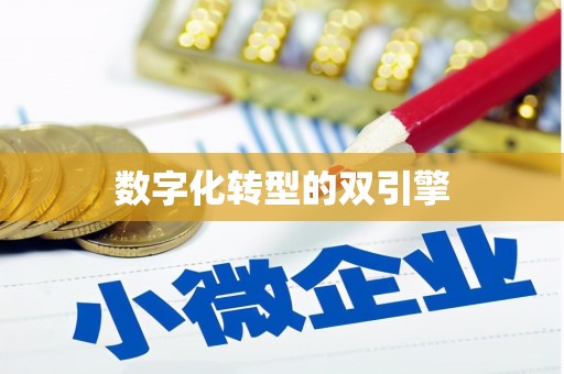 阿克陶数字化转型的双引擎