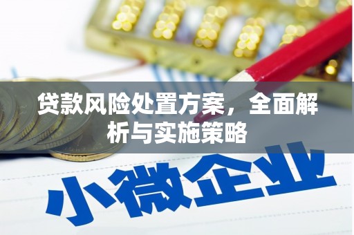 阿克陶贷款风险处置方案，全面解析与实施策略