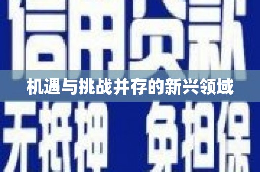 阿克陶机遇与挑战并存的新兴领域