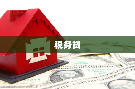 阿克陶税务贷