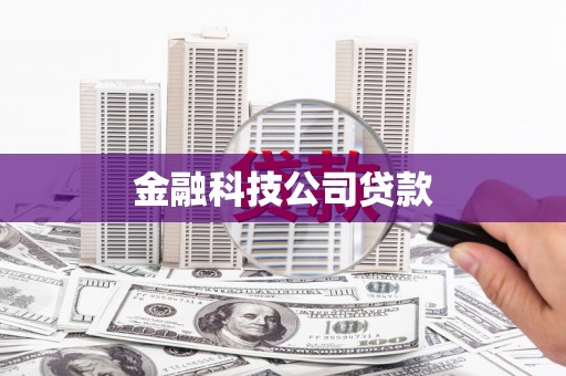 阿克陶金融科技公司贷款