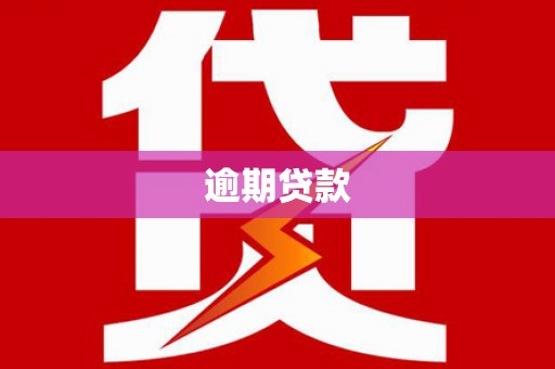 阿克陶逾期贷款